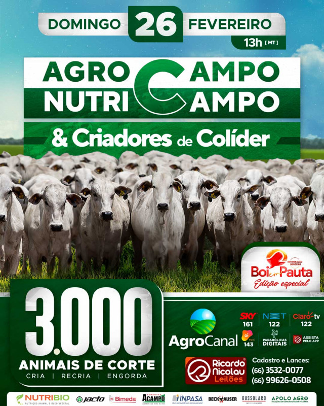 AgroCampo NutriCampo Oferta 3 Mil Animais De Corte Hoje No Agro Canal